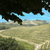 Itinerario storico-spirituale di S. M. Mazzarello