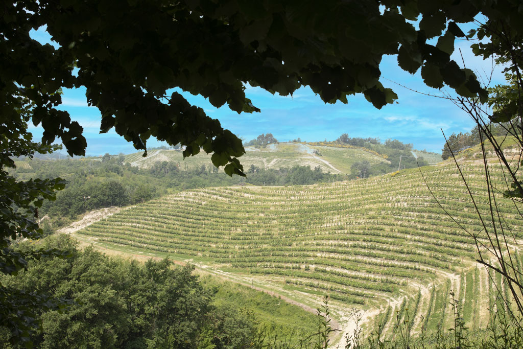 Itinerario storico-spirituale di S. M. Mazzarello